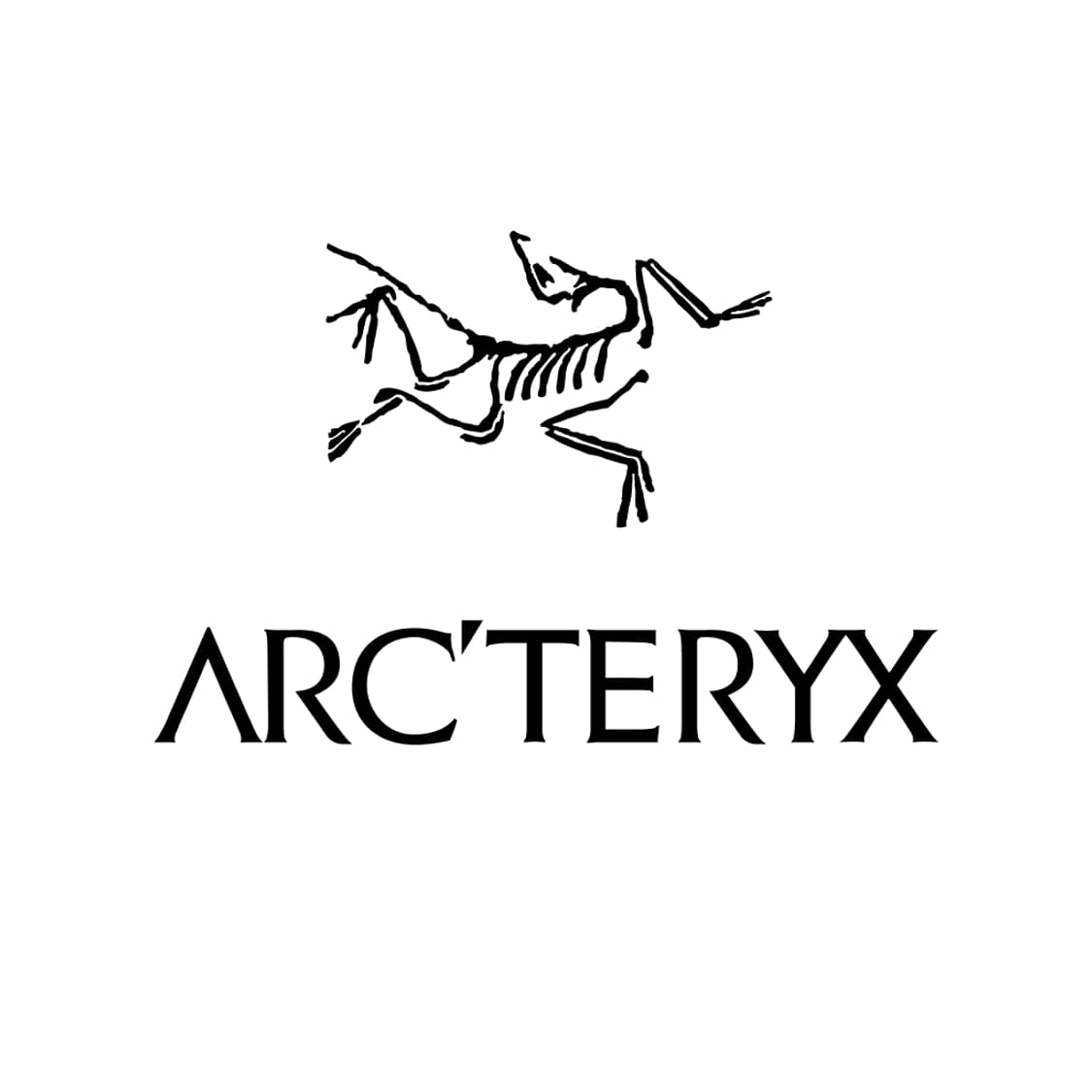아크테릭스(ARCTERYX) | 후루츠패밀리 - 빈티지, 세컨핸드 패션 중고거래 앱