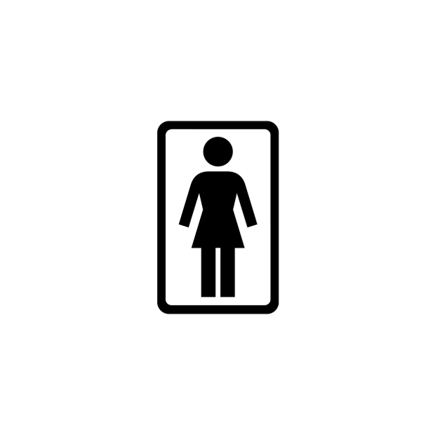 Girl Skateboards