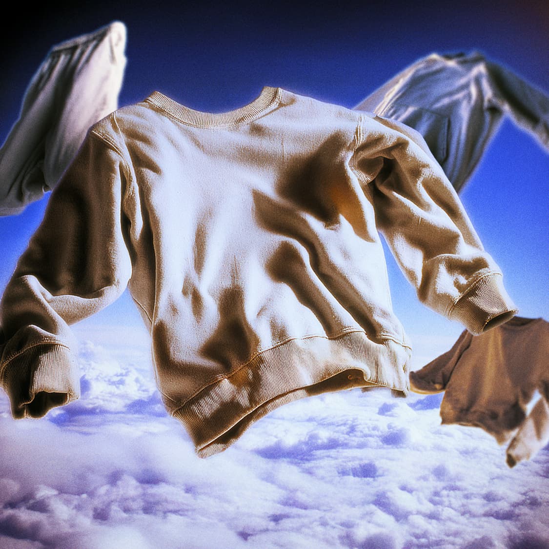 Sweats - Curated Collection