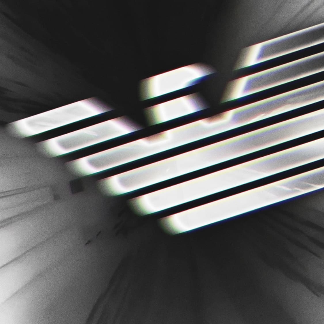 Armani - Curated Collection