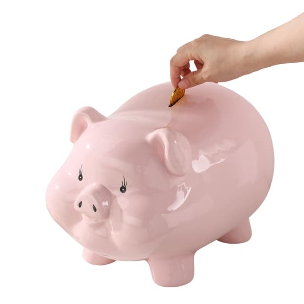 Lucky Piggy