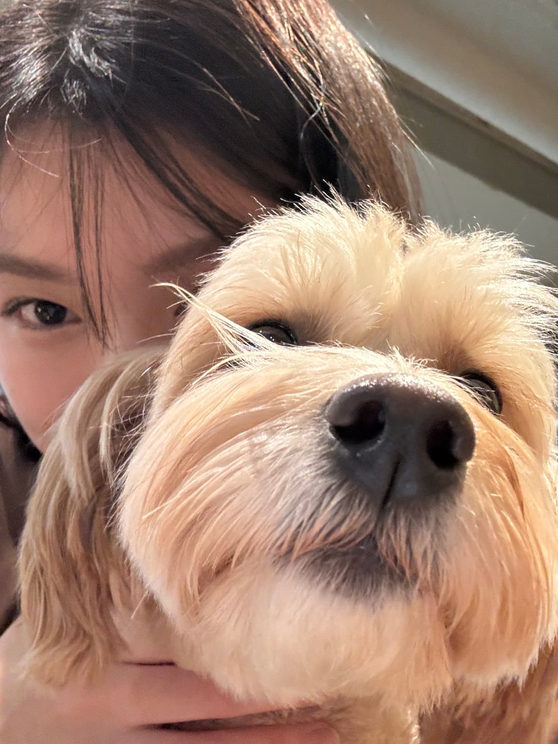 hej1101 커버 이미지