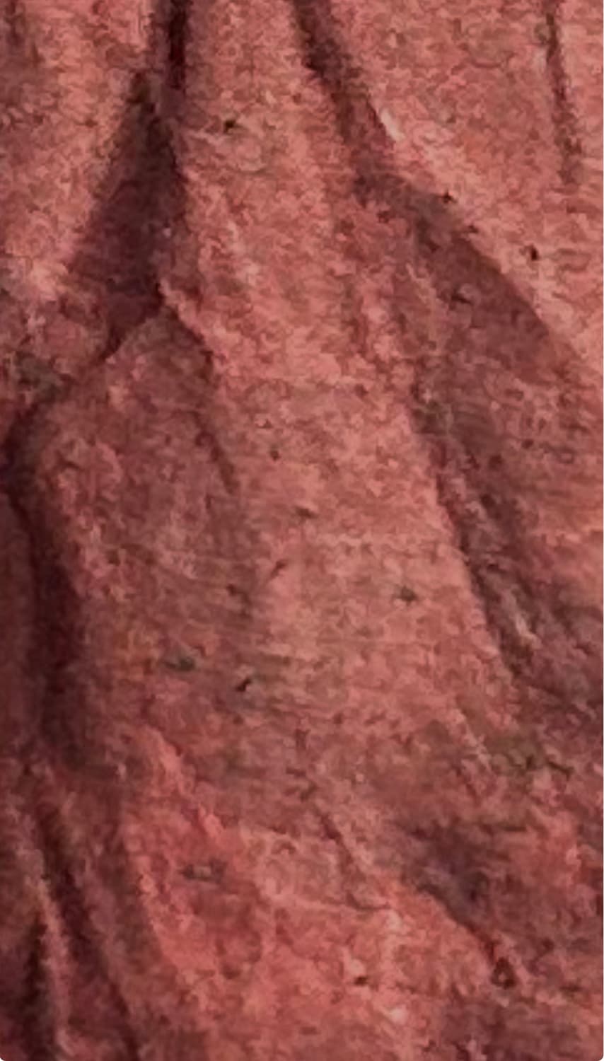 solutus 커버 이미지