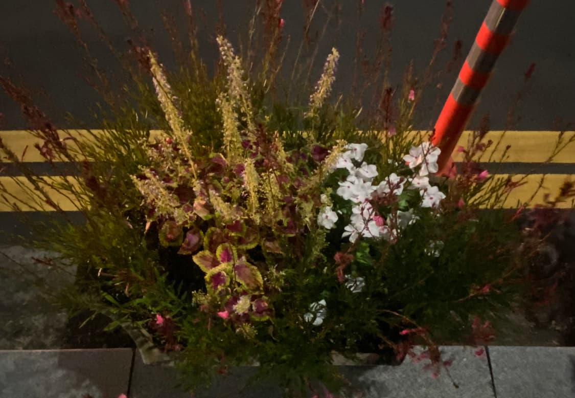 knito32 커버 이미지