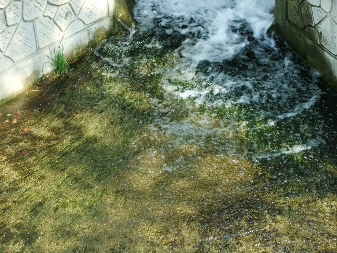 cover-image