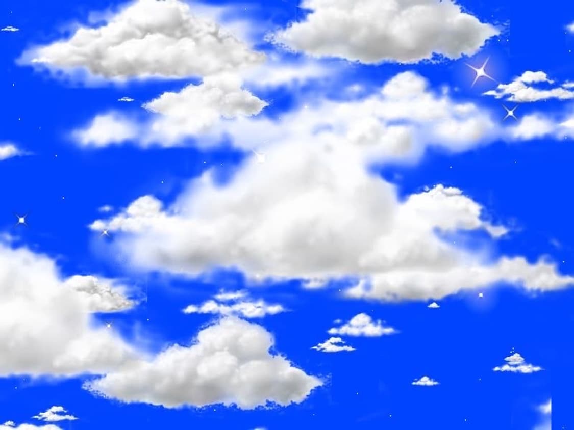 Zooooo 커버 이미지