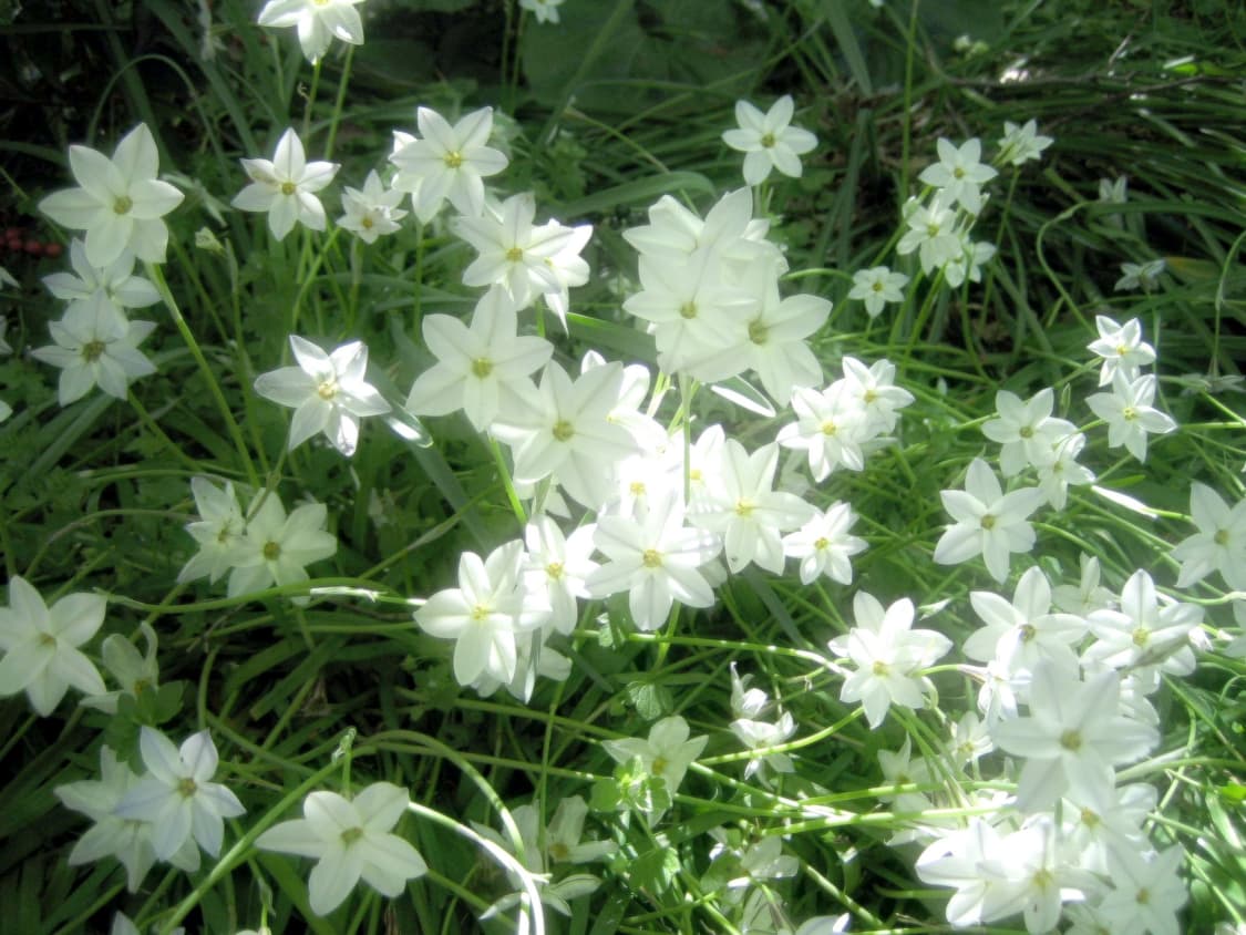 cover-image