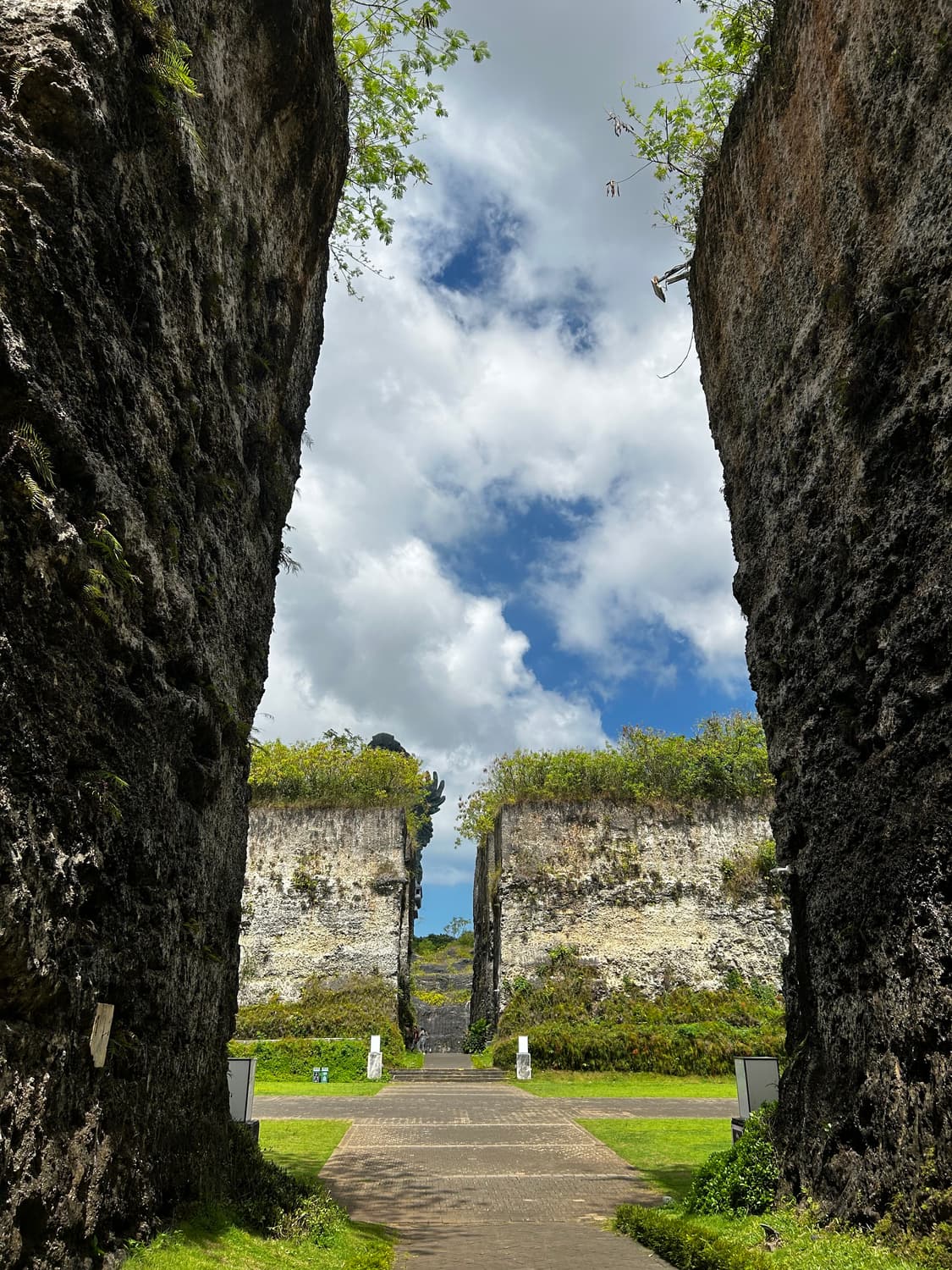 cover-image