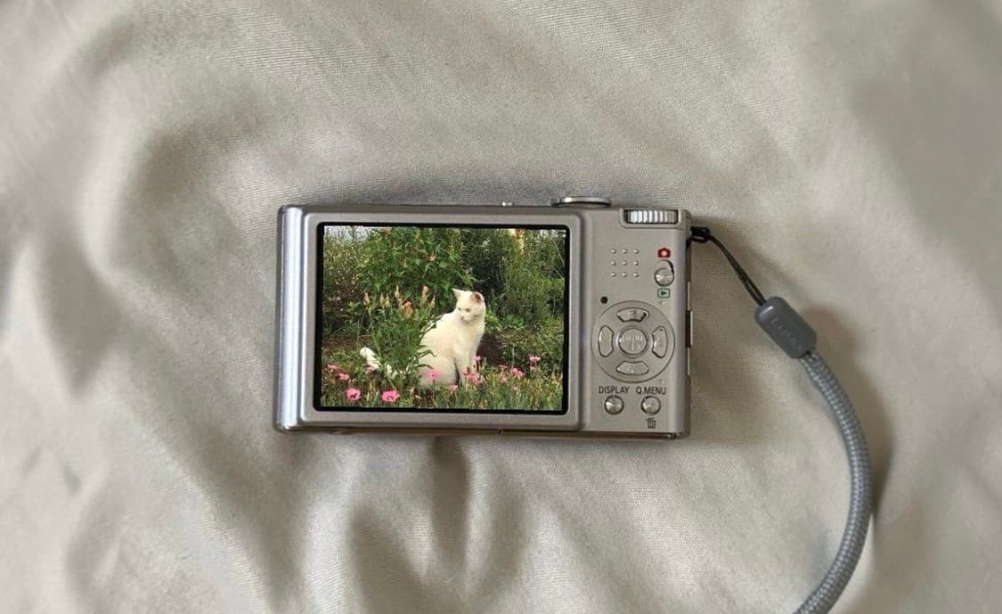 Youngwon Camera 커버 이미지