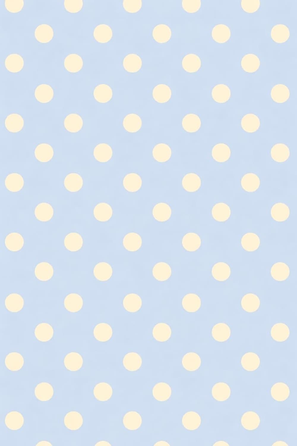 titi closet 커버 이미지