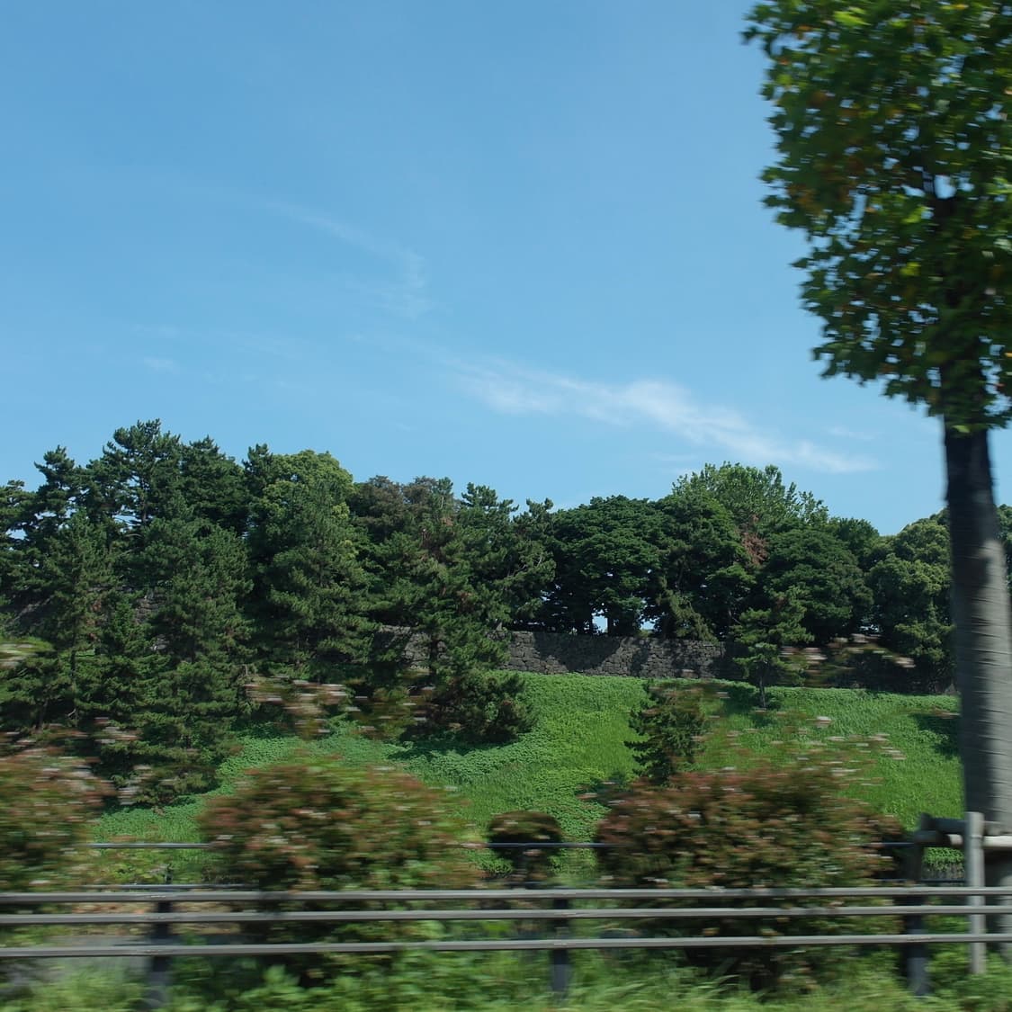 cover-image