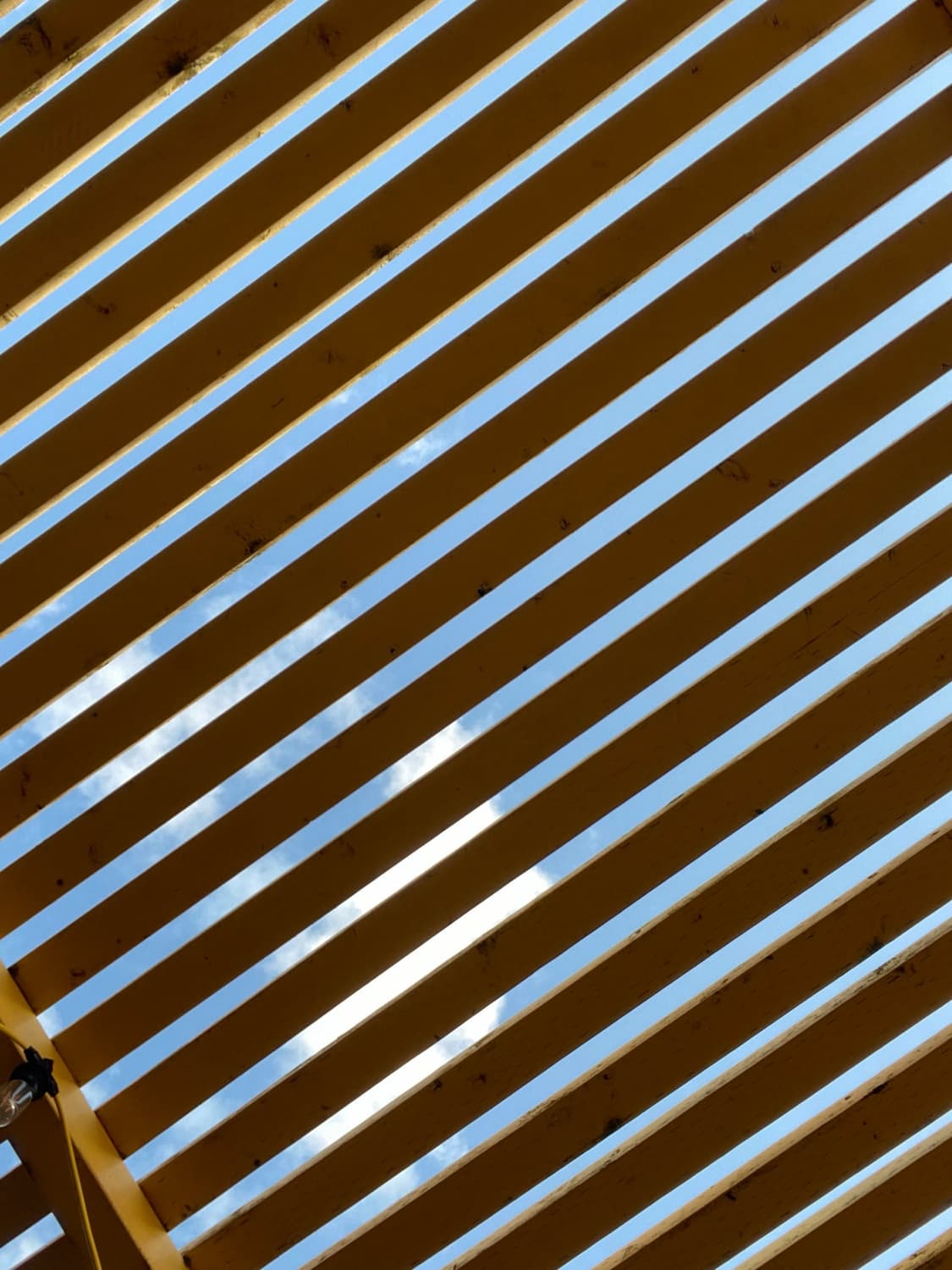 cover-image