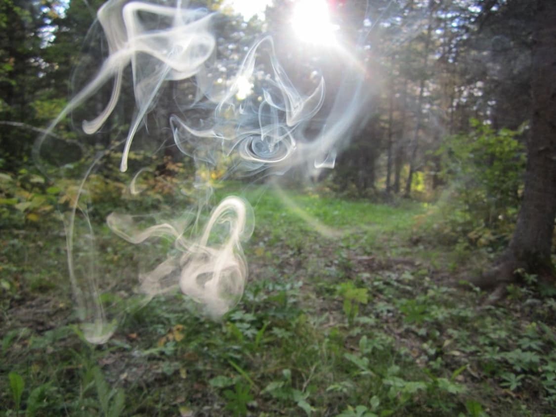 cover-image