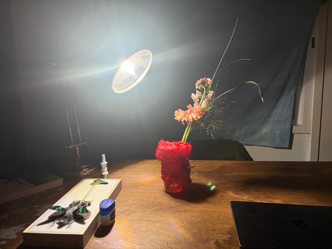 junmok 커버 이미지