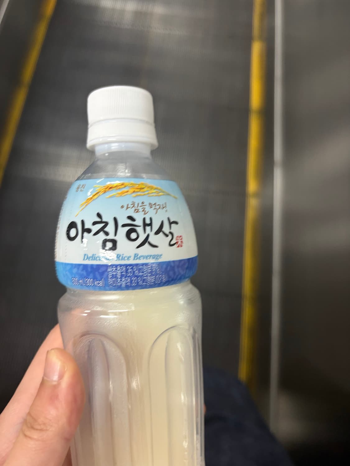 morningsunshine 커버 이미지