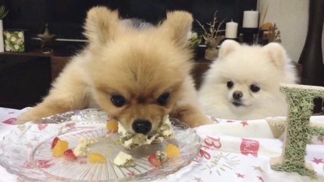 killrua 커버 이미지