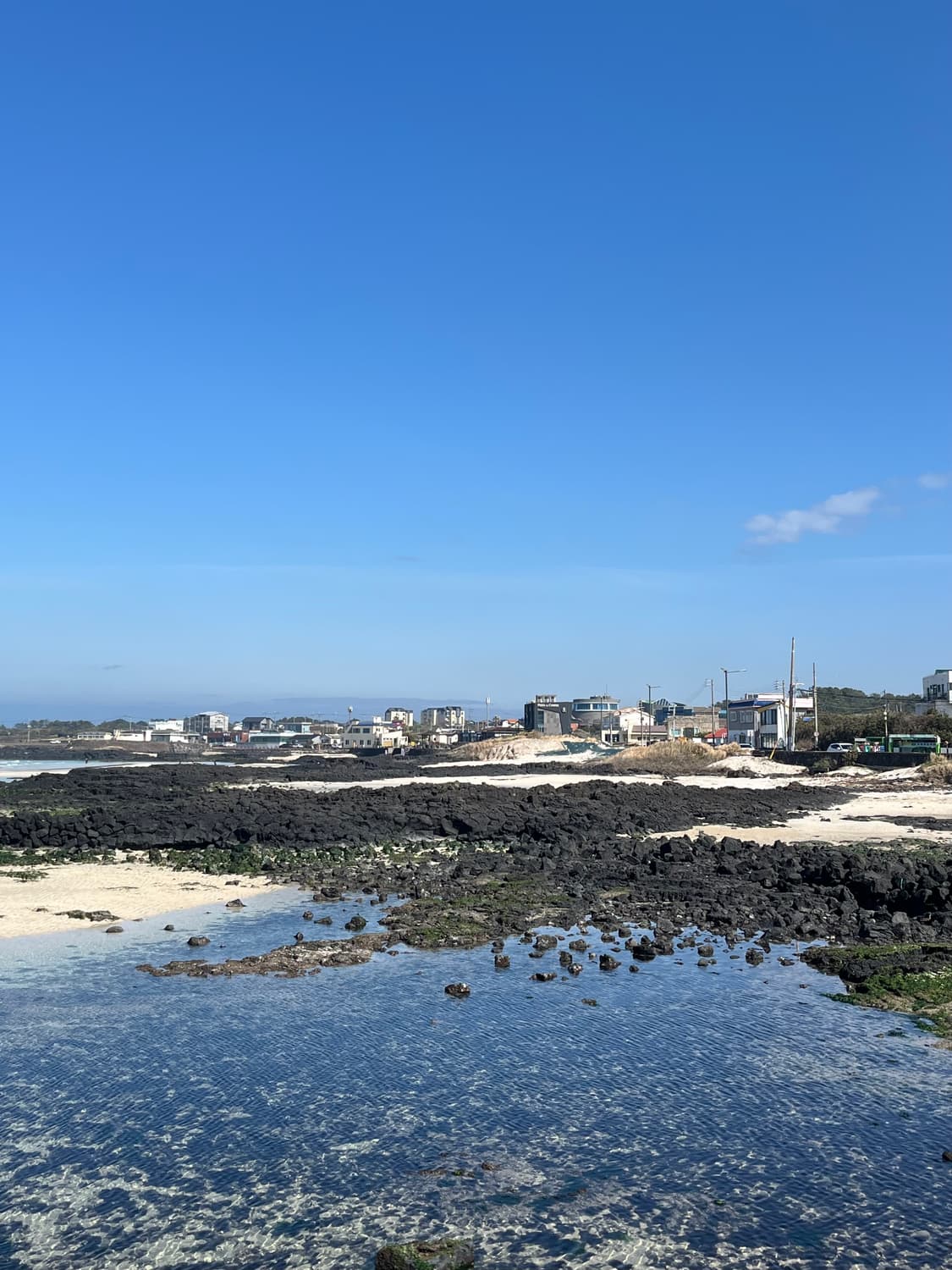cover-image