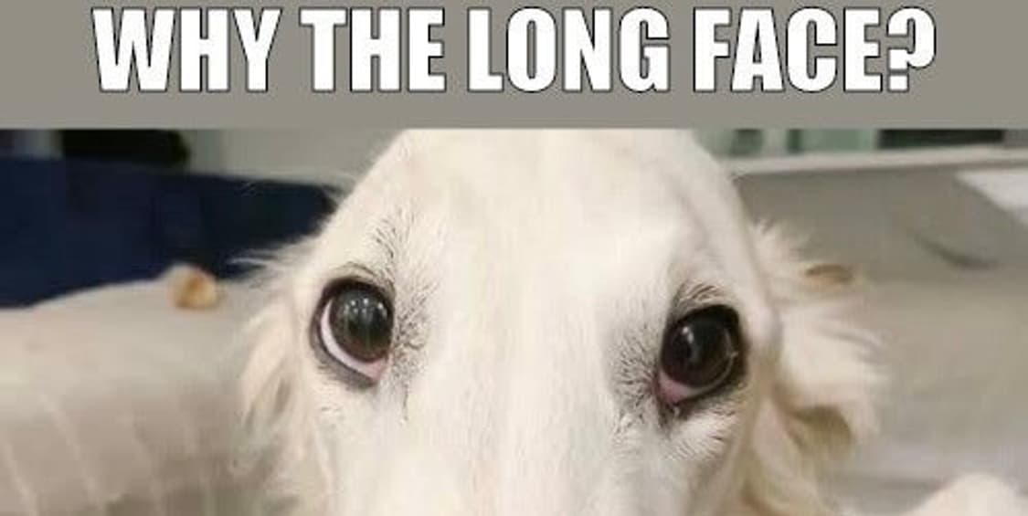 Oveurcountry 커버 이미지