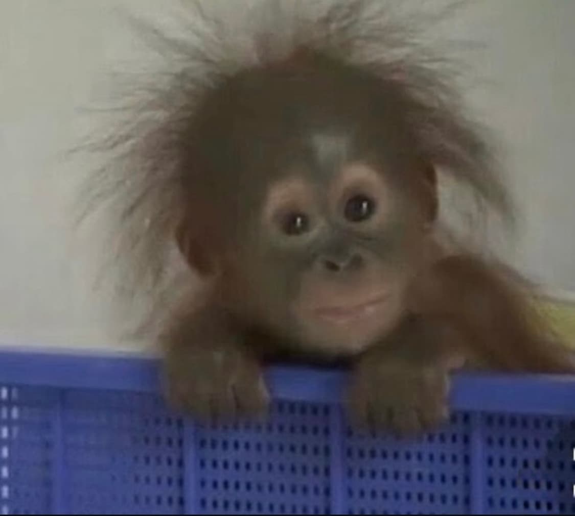 emnsoj 커버 이미지