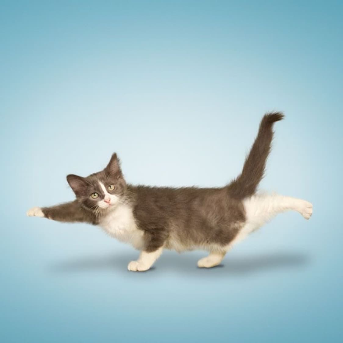 JjinJjin 커버 이미지