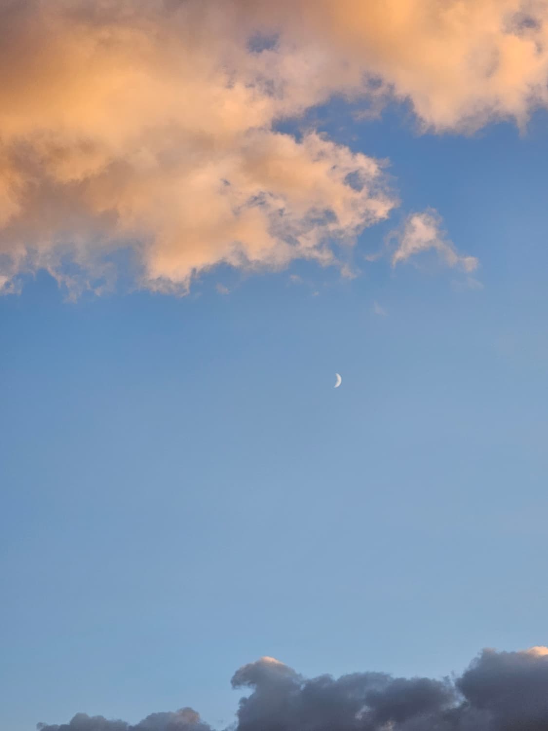 cover-image