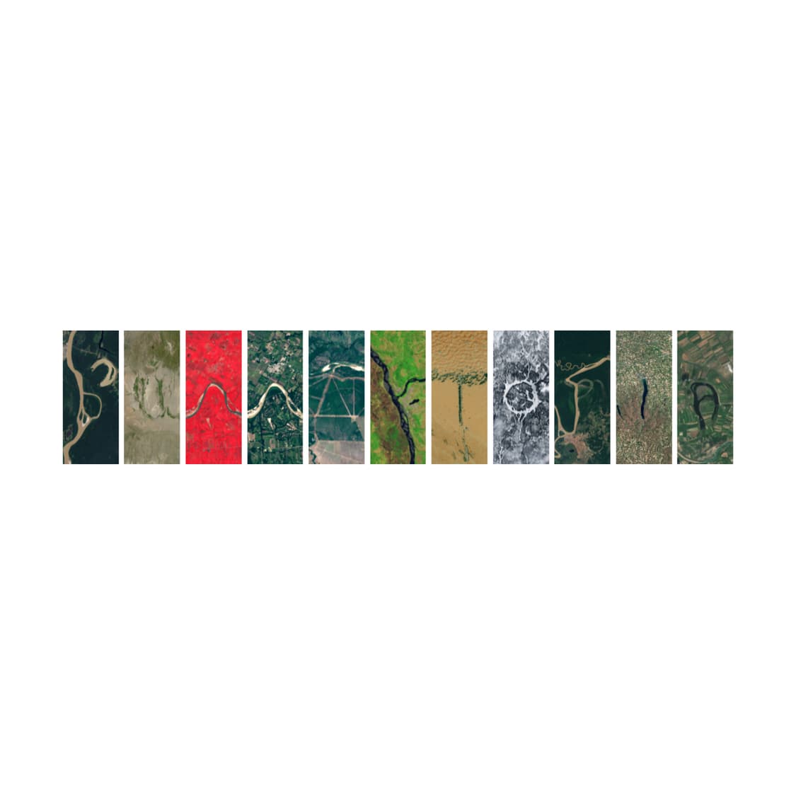 cover-image