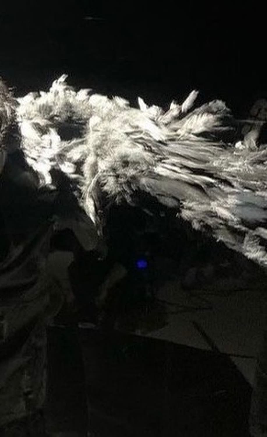 Warrenhugo 커버 이미지