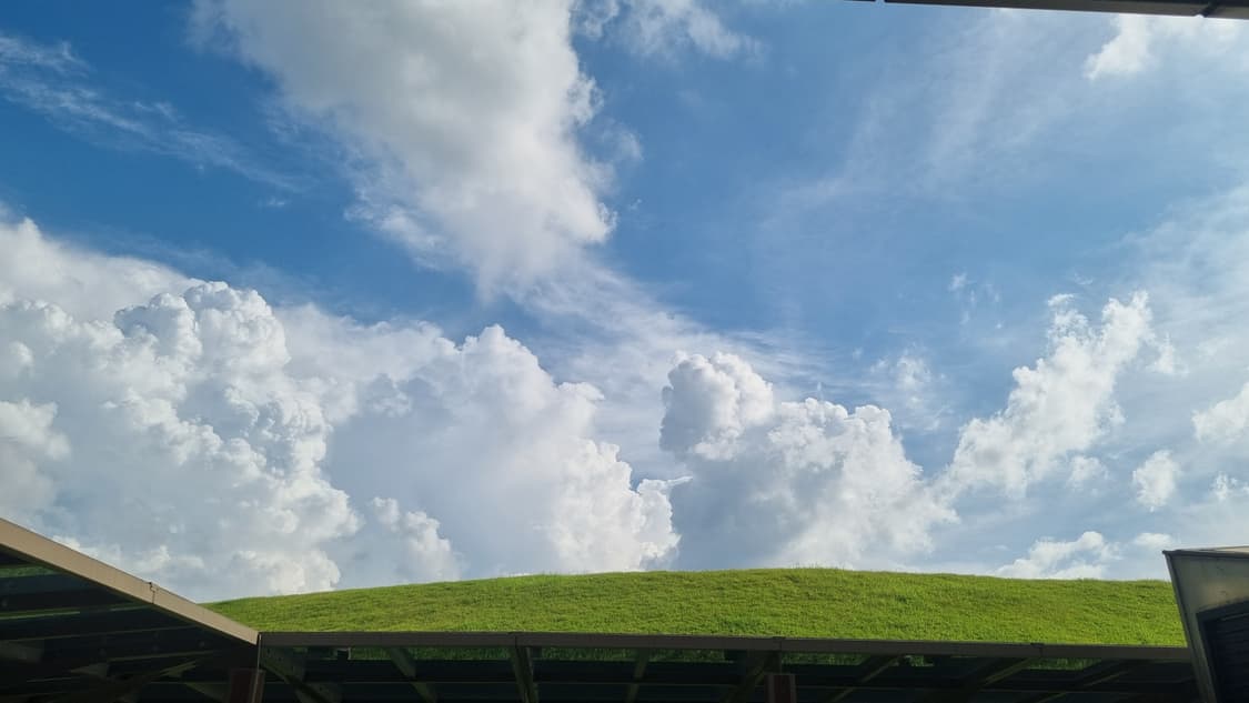cover-image