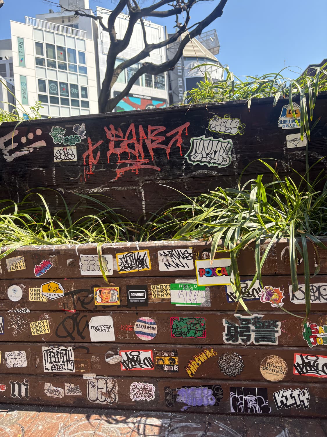 Pointable 커버 이미지