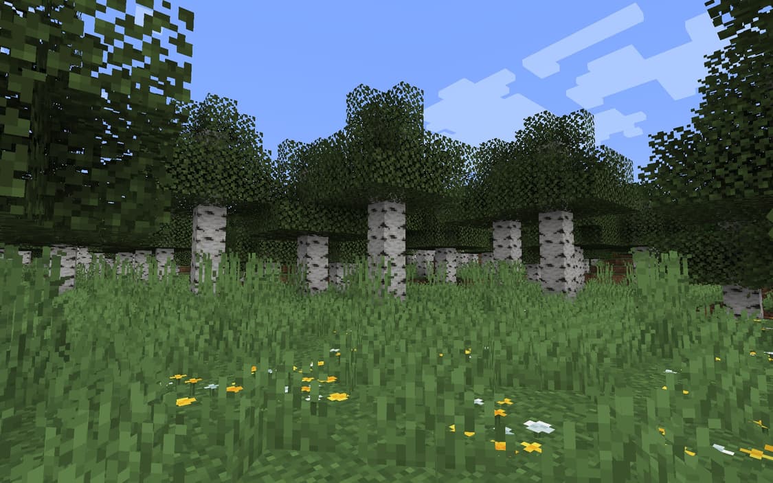 HONEY BEE 커버 이미지