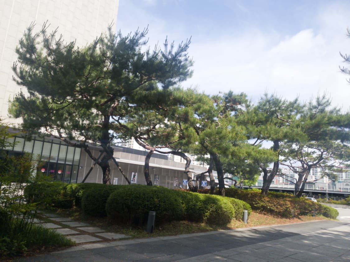 ayutthaya10 커버 이미지