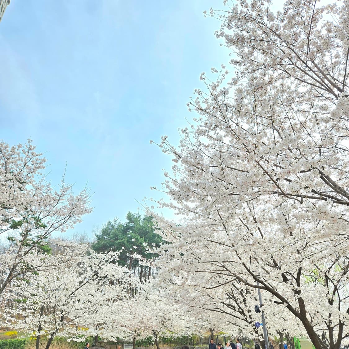 2120gift 커버 이미지