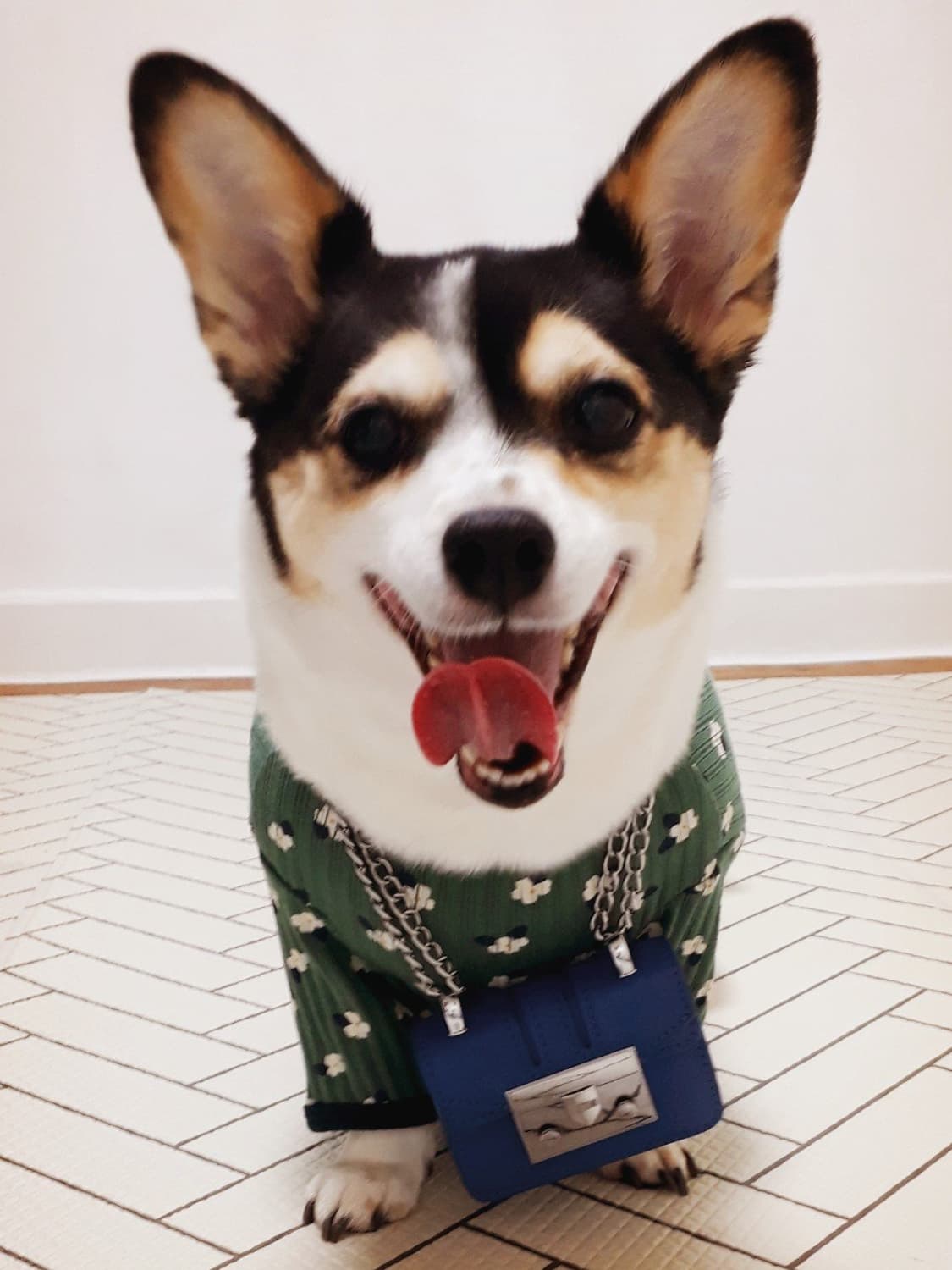 zhzh9567 커버 이미지