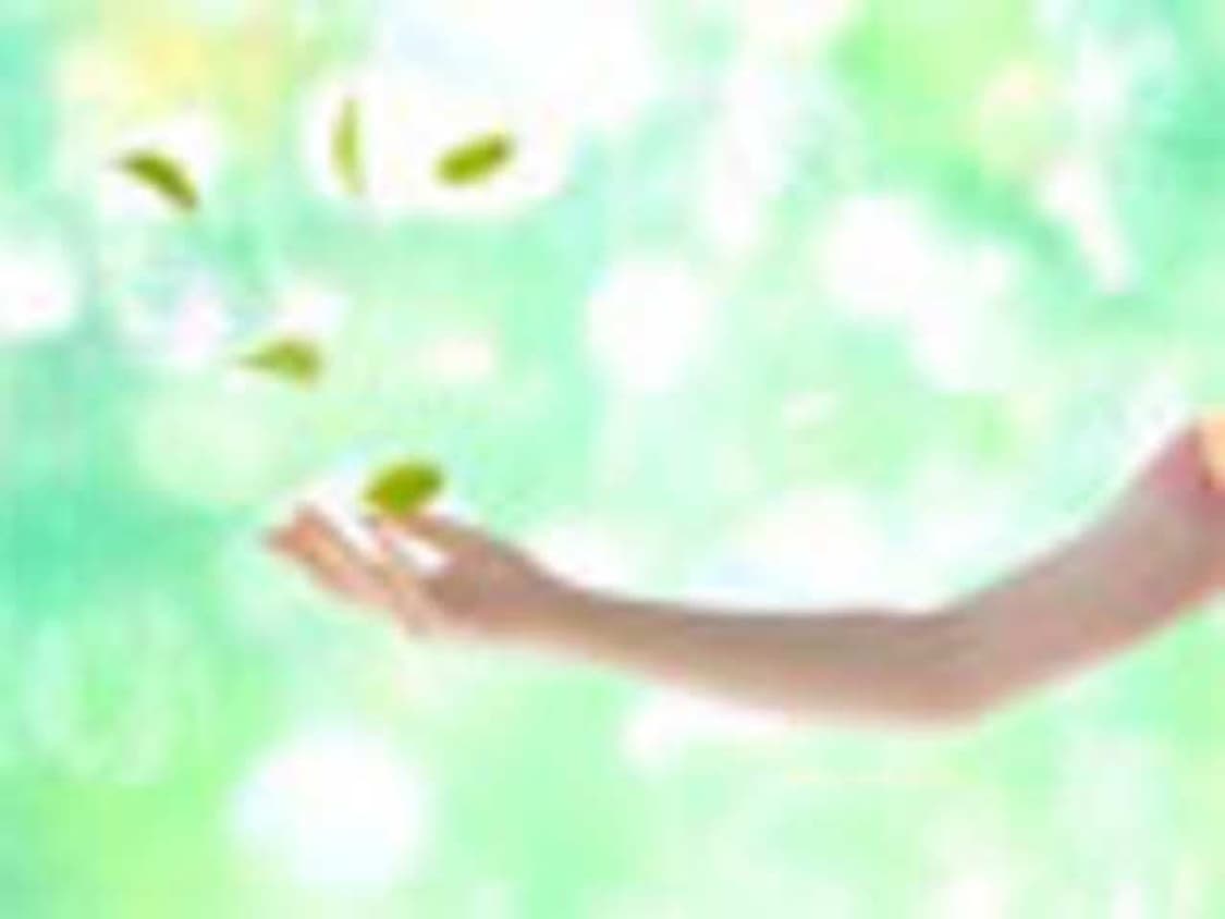 plplp9 커버 이미지
