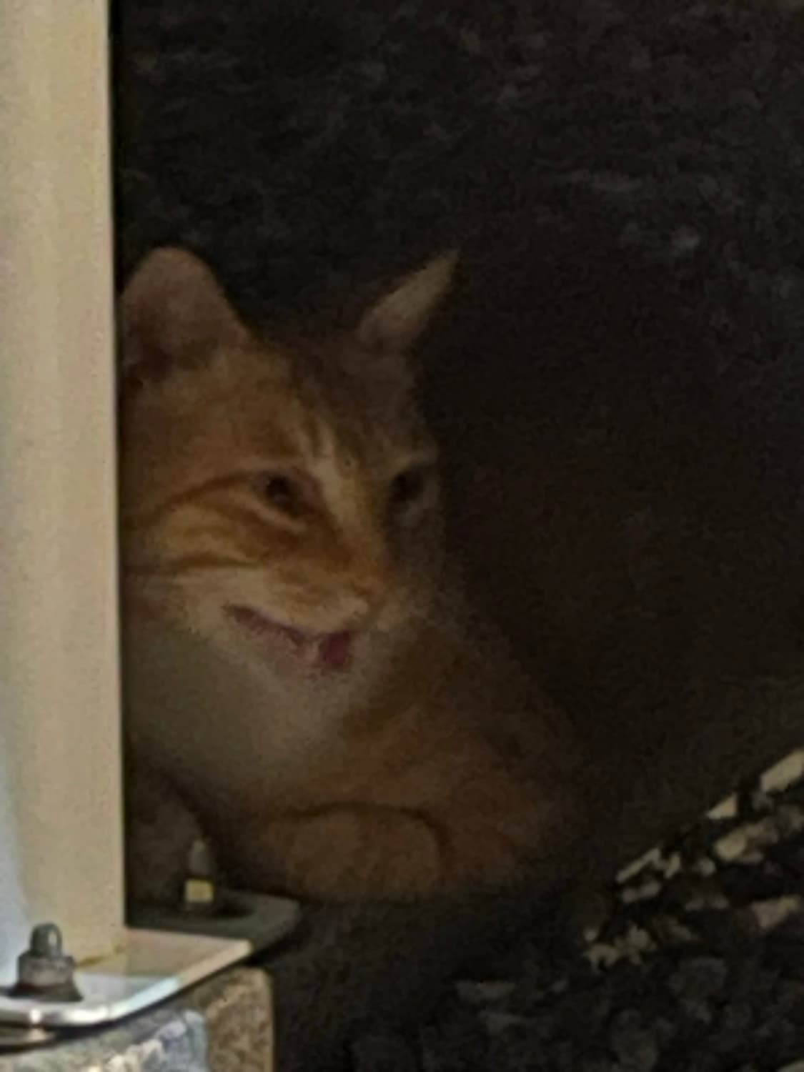 hyunbini 커버 이미지