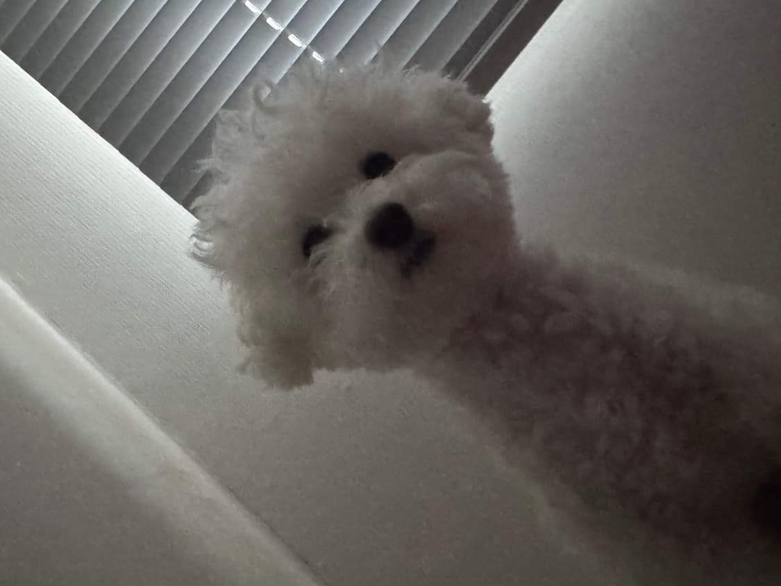 noknok 커버 이미지