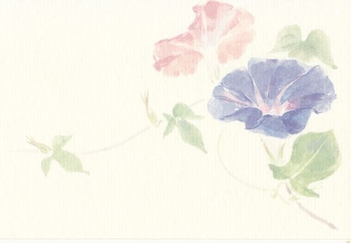 cover-image