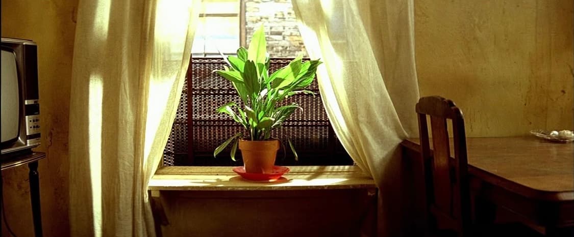 sihyoshop 커버 이미지