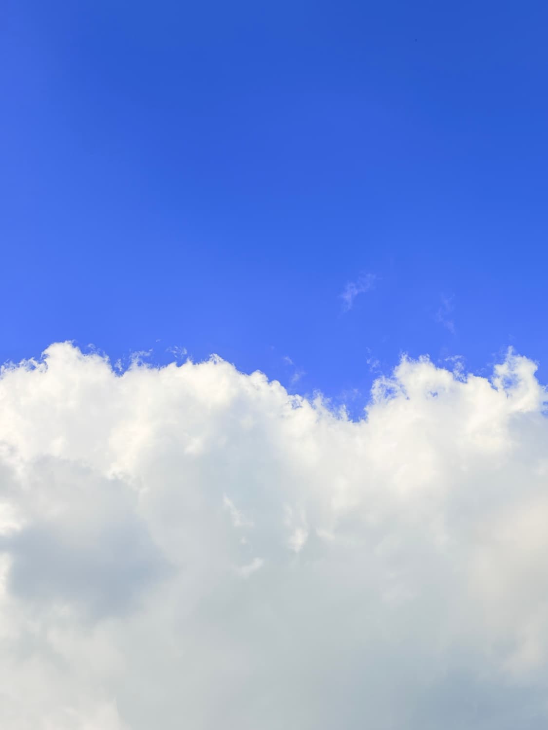 cover-image