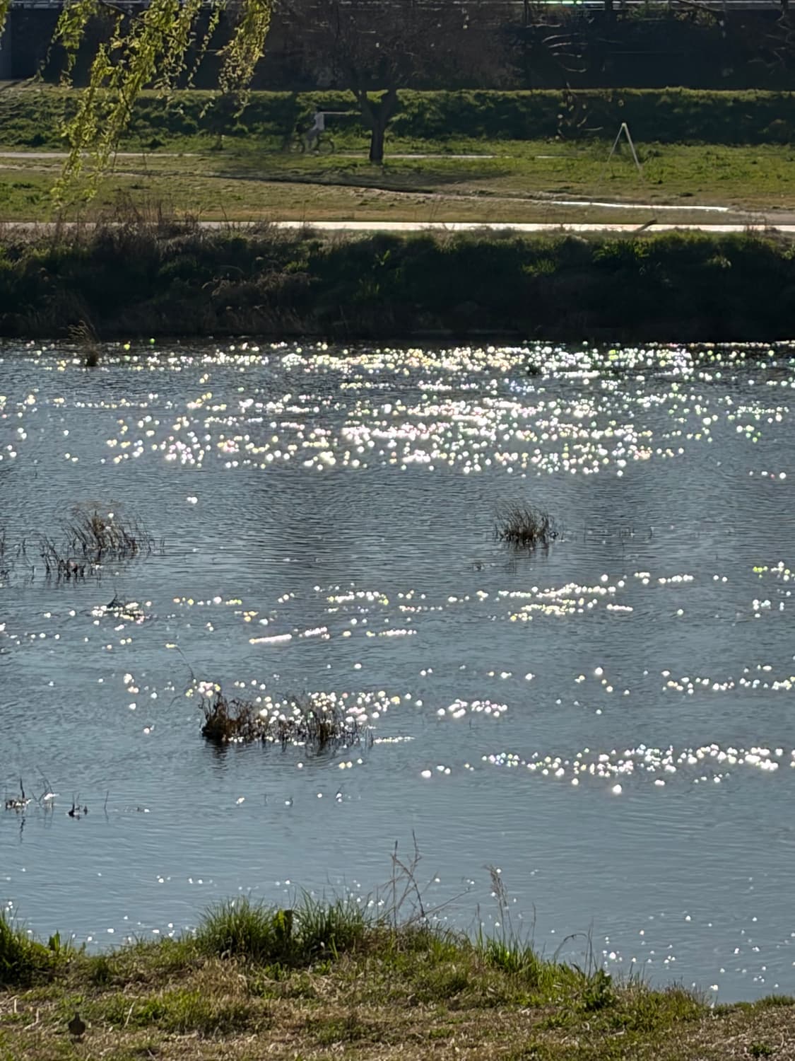 wpqkftkwntpdy 커버 이미지