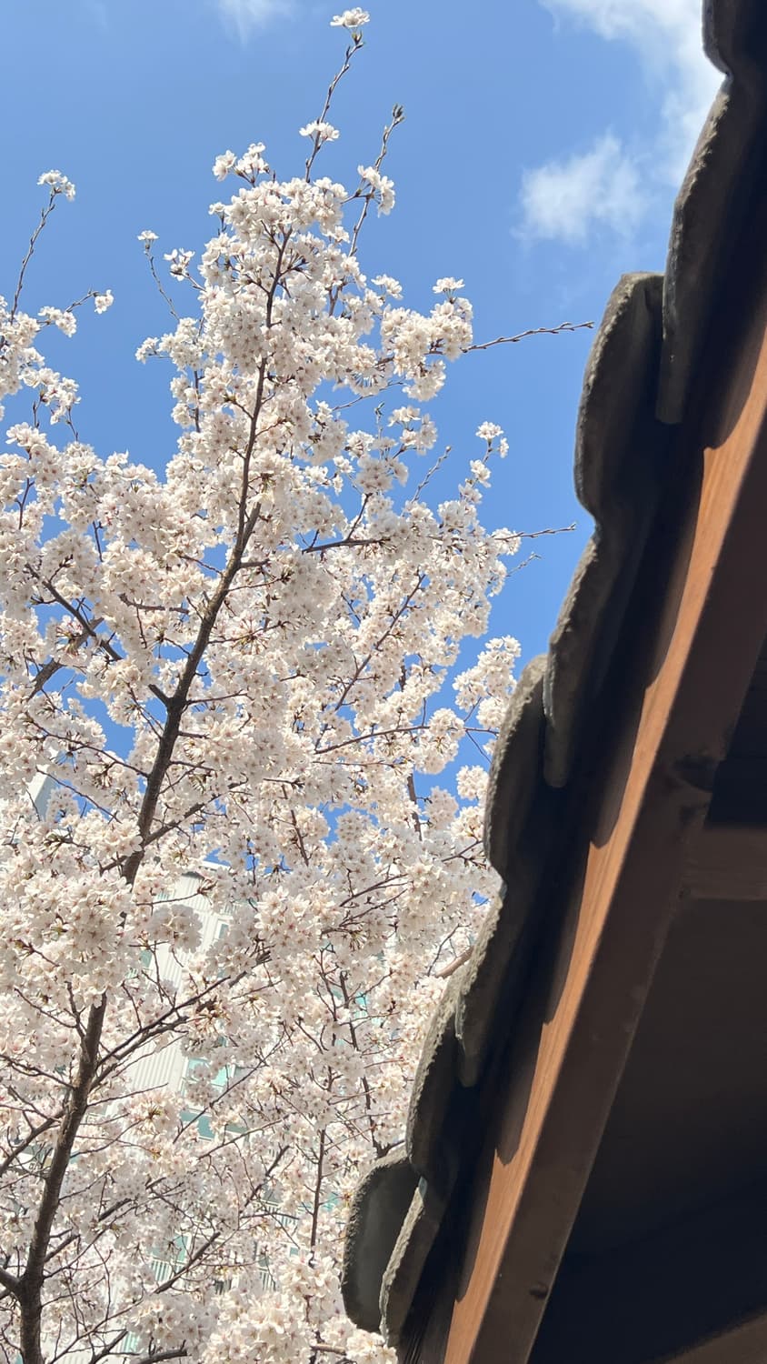 3m12th 커버 이미지