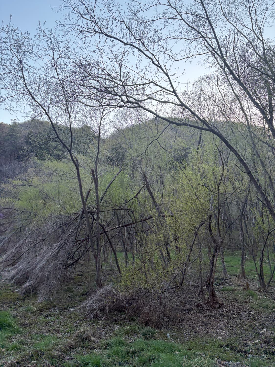 gwiyeo 커버 이미지