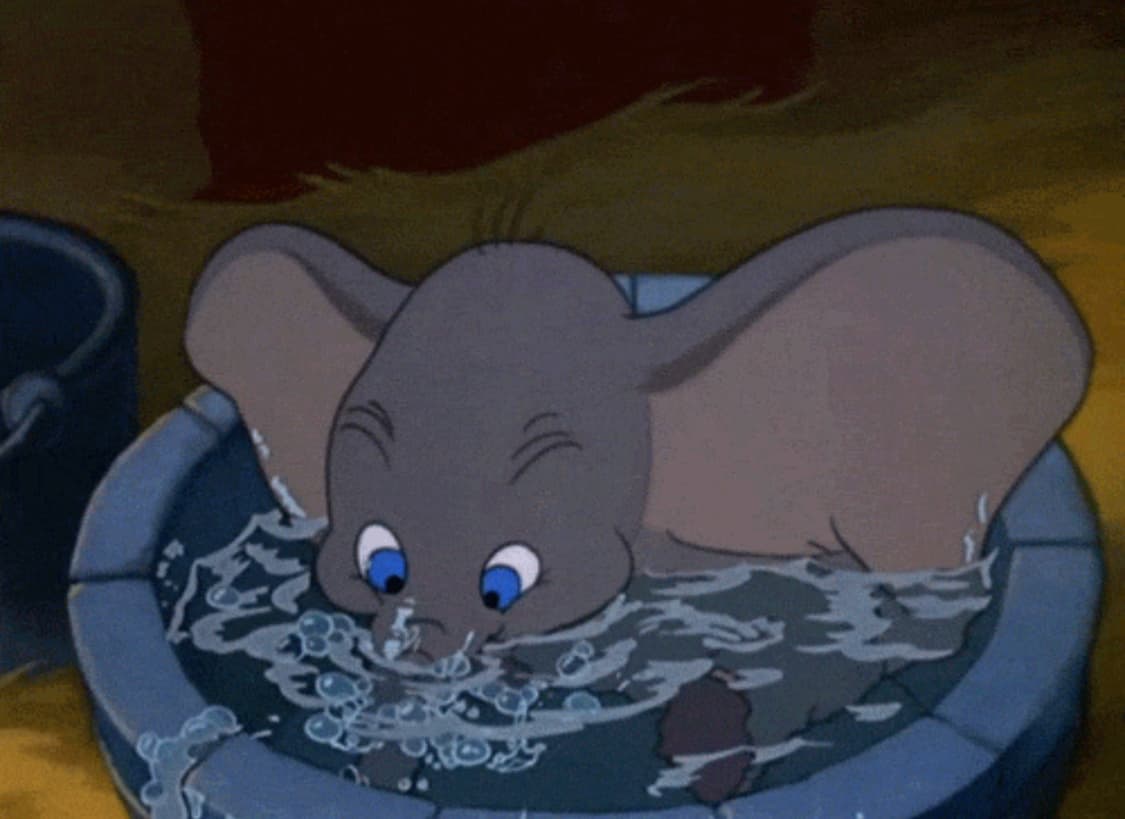 GachiXvtg 커버 이미지