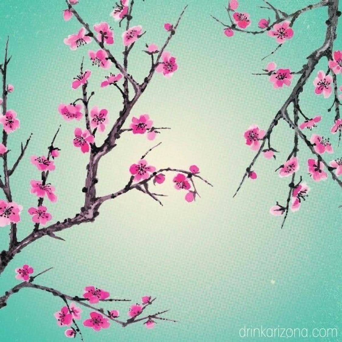 5lines 커버 이미지