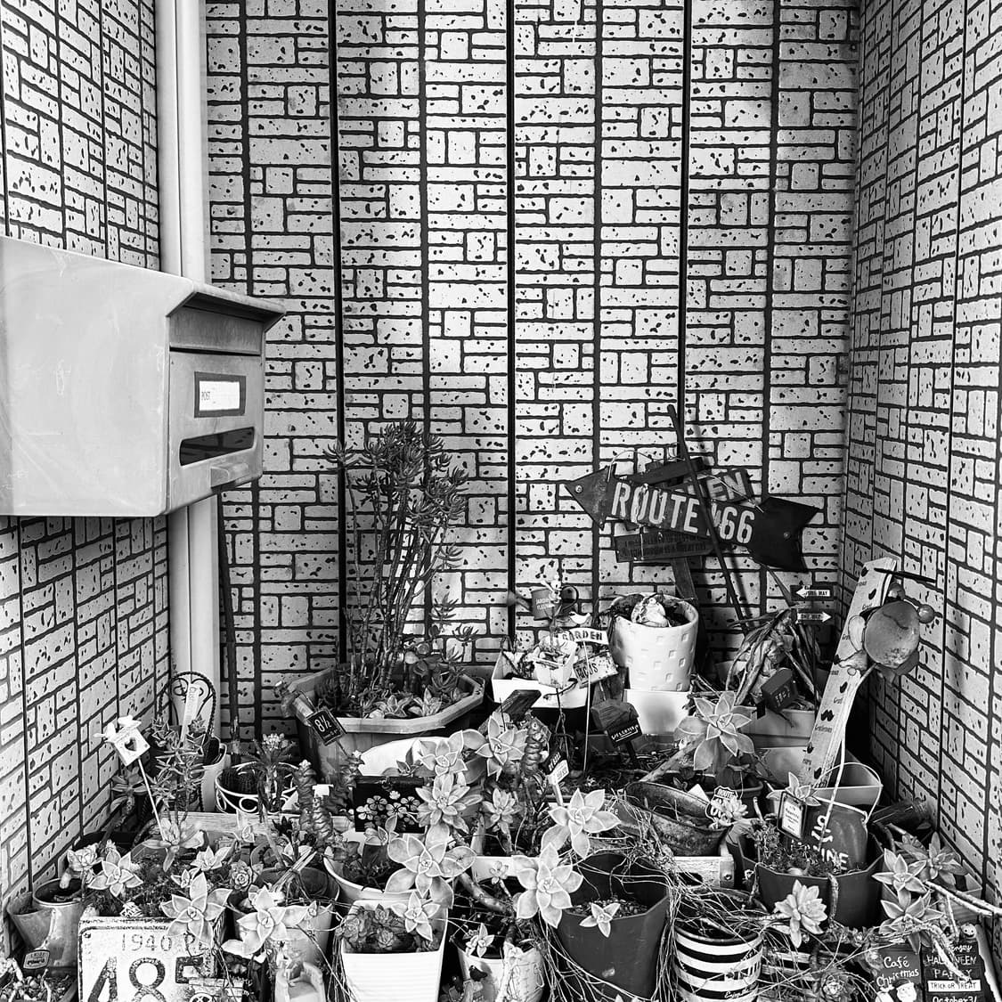 hplar  커버 이미지