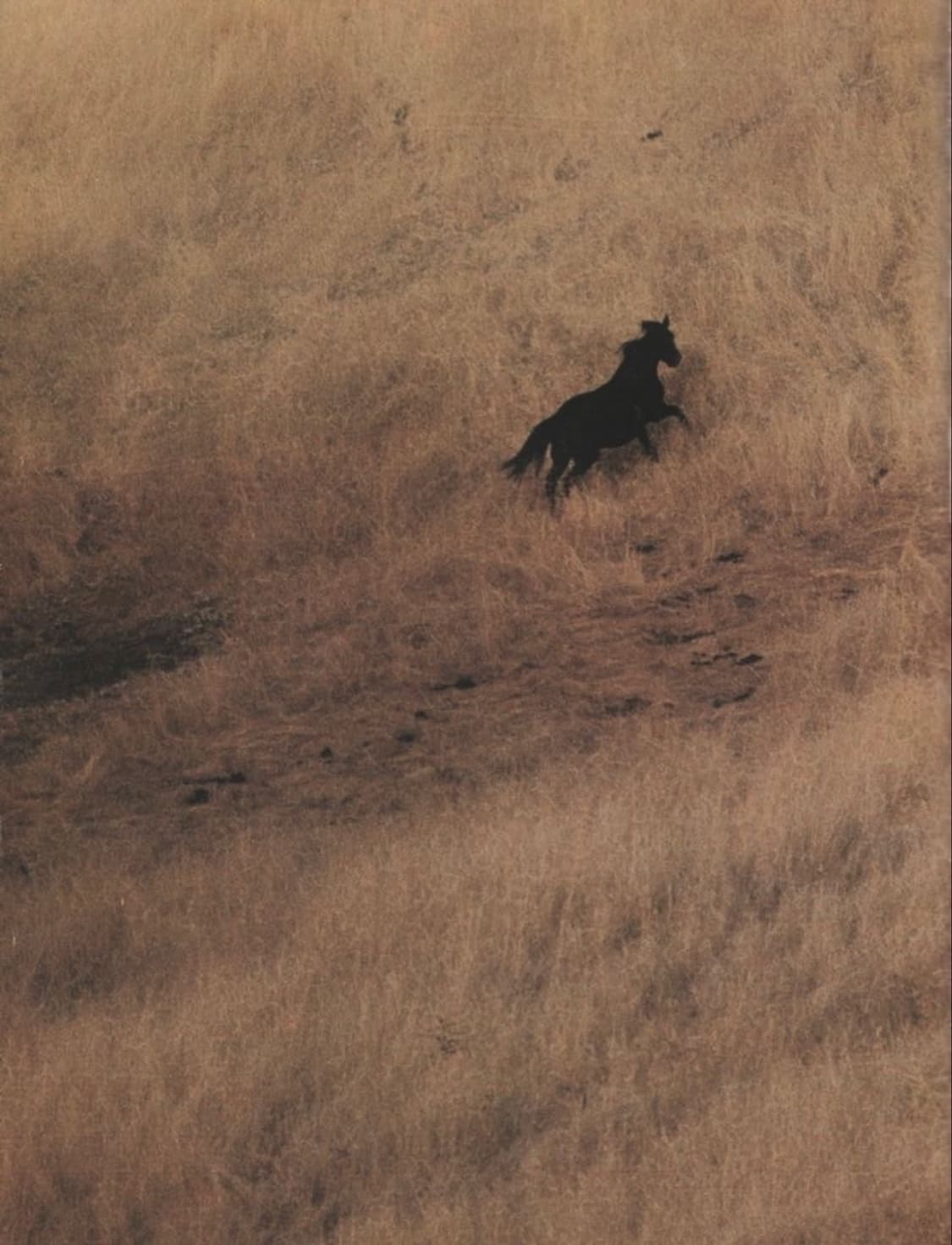 cover-image