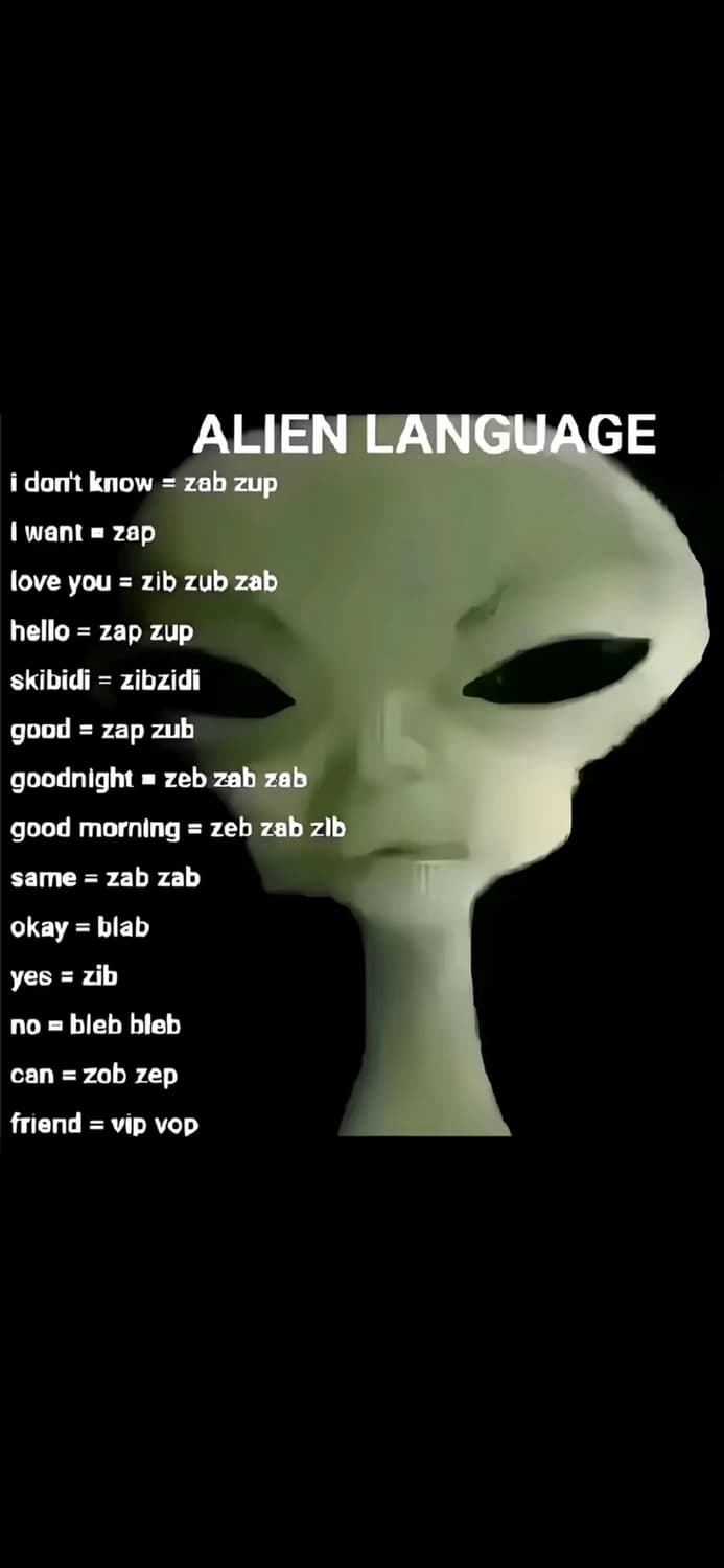 zib zub zab 커버 이미지