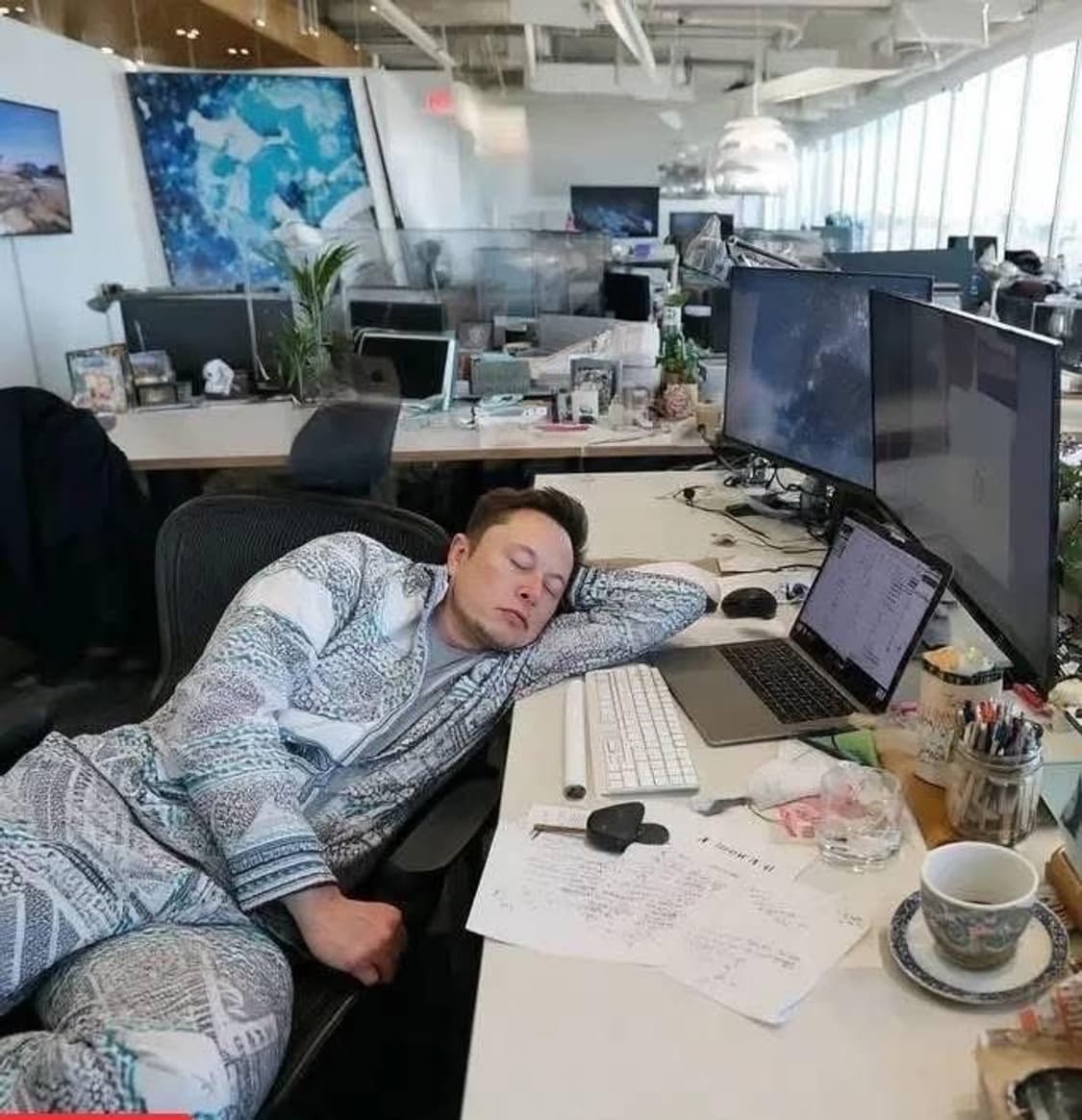 Elonmusk  커버 이미지