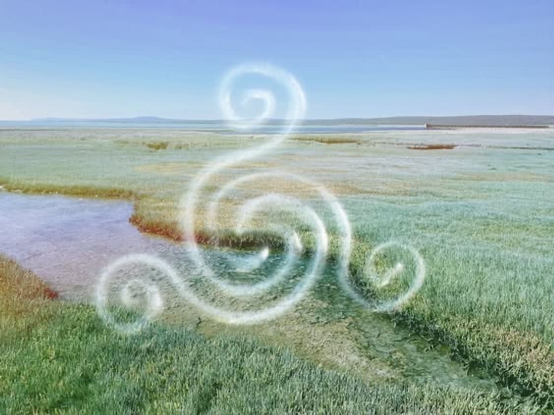 cover-image