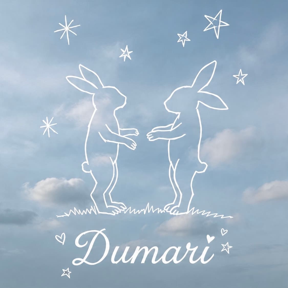 dumari 커버 이미지